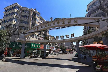 水岸丽都高档小区电梯洋房复式楼送车库、储藏室学区房